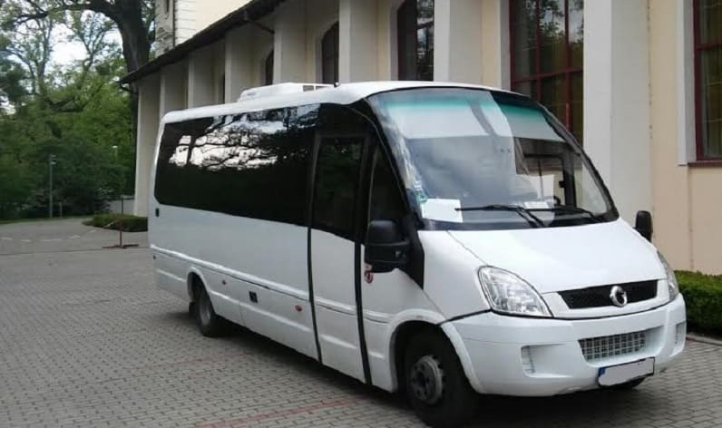 Northwest: Bus order in Kaliningrad in Kaliningrad and Russia