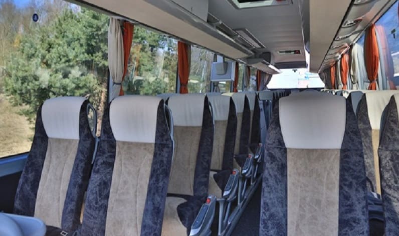 Poland: Coach charter in Pomeranian in Pomeranian and Tczew