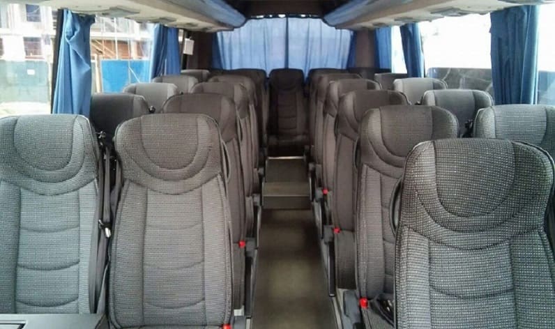 Poland: Coach hire in Warmian-Masurian in Warmian-Masurian and Bartoszyce